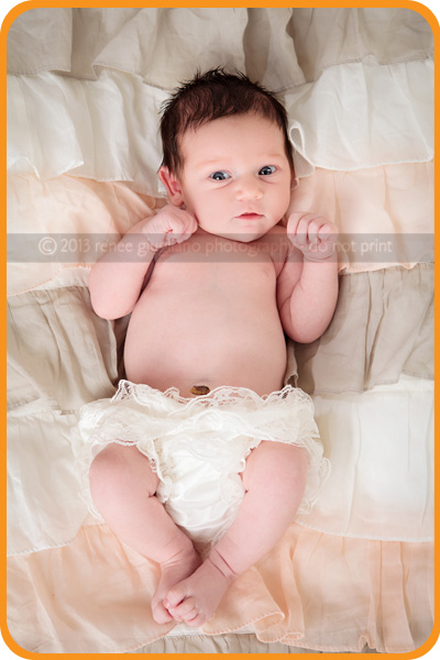 Renee Giugliano Photography, Whidbey Island Photographer specializing in Pregnancy Newborn & Children