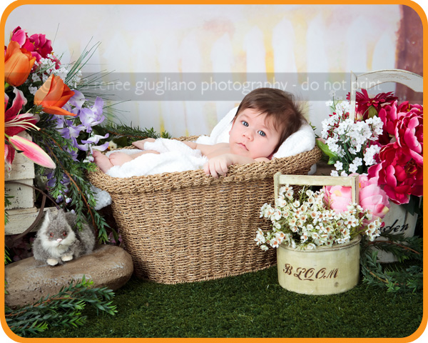 Renee Giugliano Photography, Oak Harbor, WA Photographer specializing in Pregnancy Newborn & Children